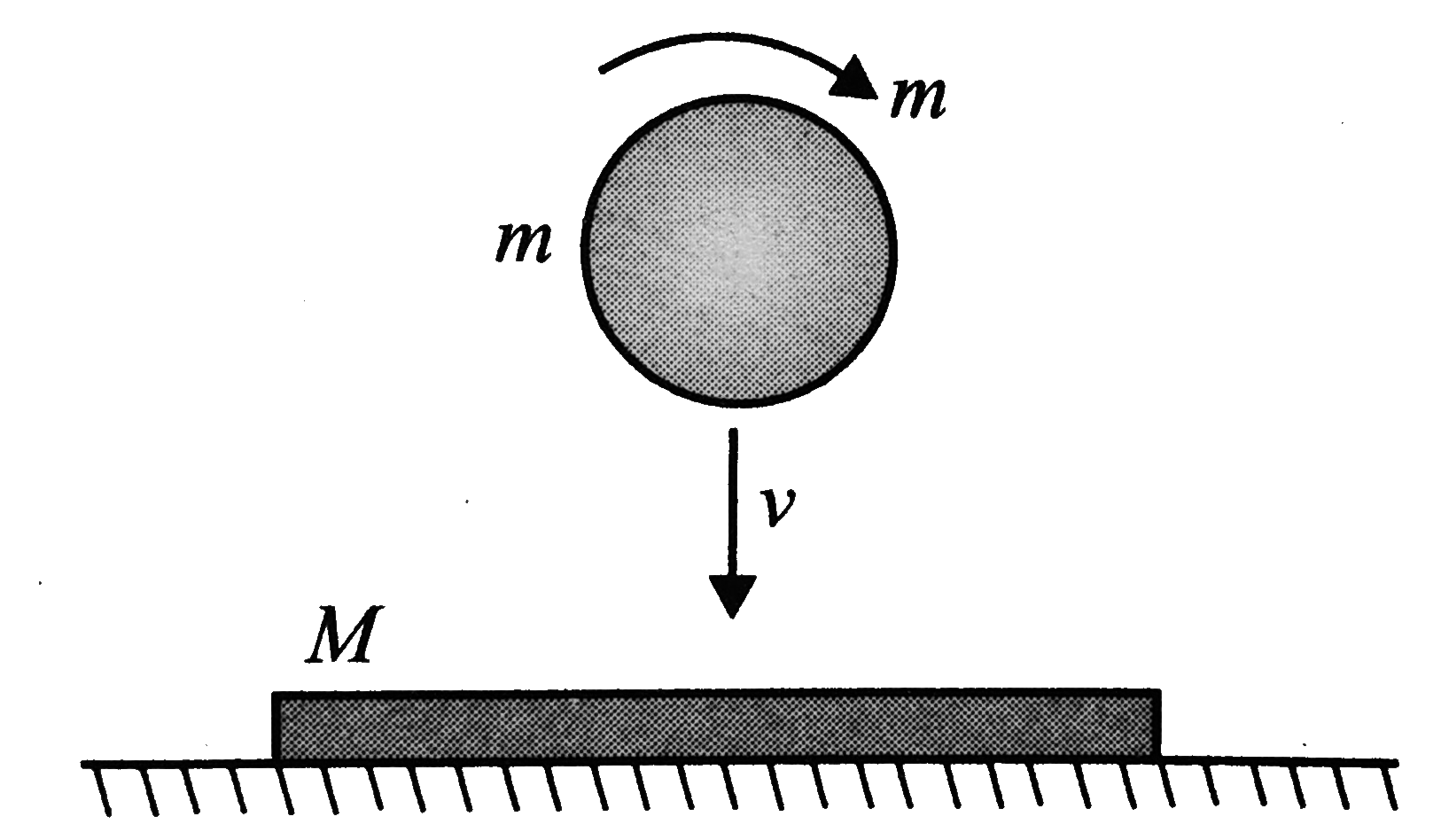 A solid ball of mass m and radius r spinning with angular velocity omega falls on a horizontal slab of mass M with rough upper surface (coefficient of friction mu) and smooth lower surface. Immediately after collision the normal component of velocity of the ball remains half of its value just before collision and it stops spinning. Find the velocity (in m//s) of the sphere in horizontal direction immediately after the impact (given: Romega= 5).