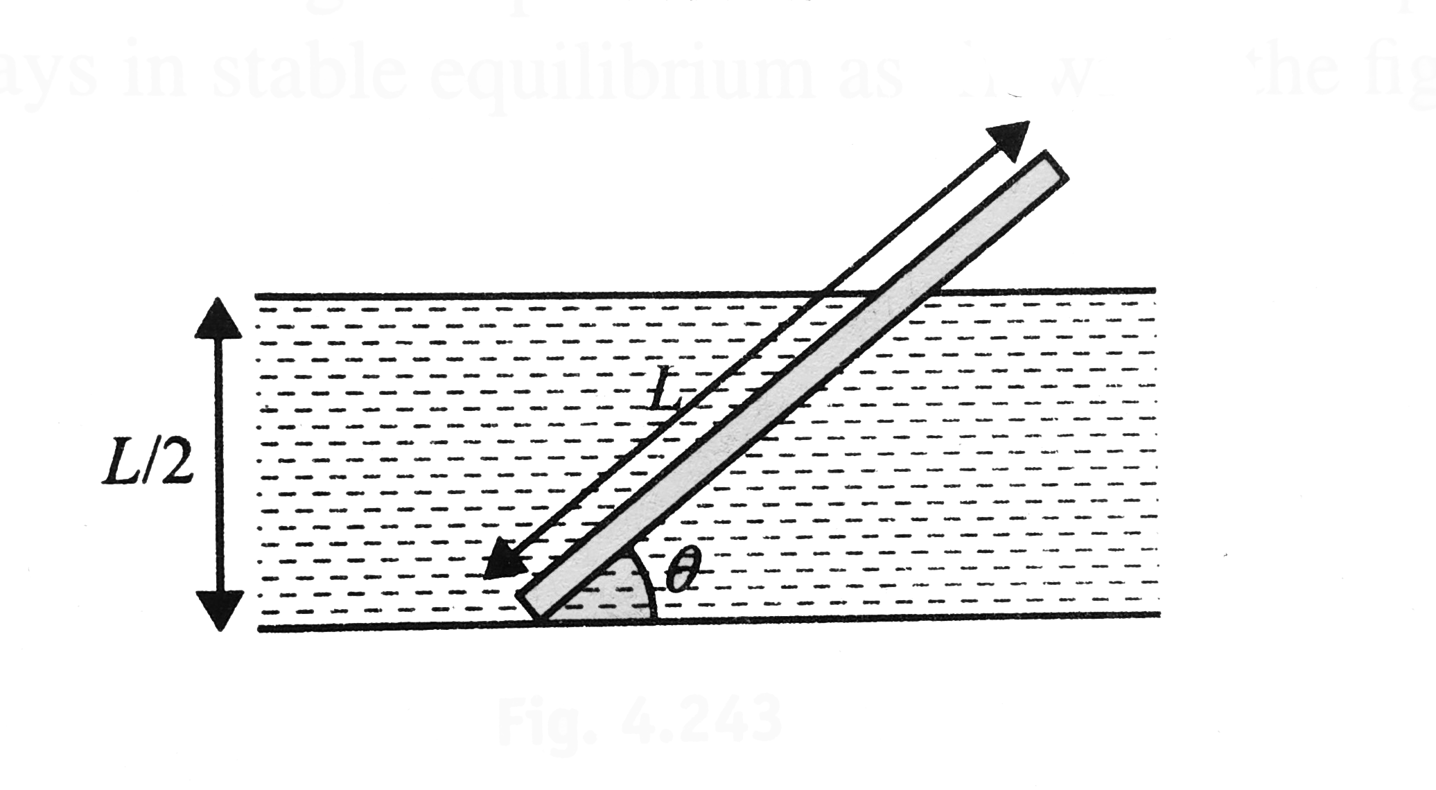 A uniform rod of length L pivoted at the bottom of a pond of depth L//2 stays in stable equilibrium as shown in the figure.      Find the angle 0 if the density of the material of the rod is half of the density of water.