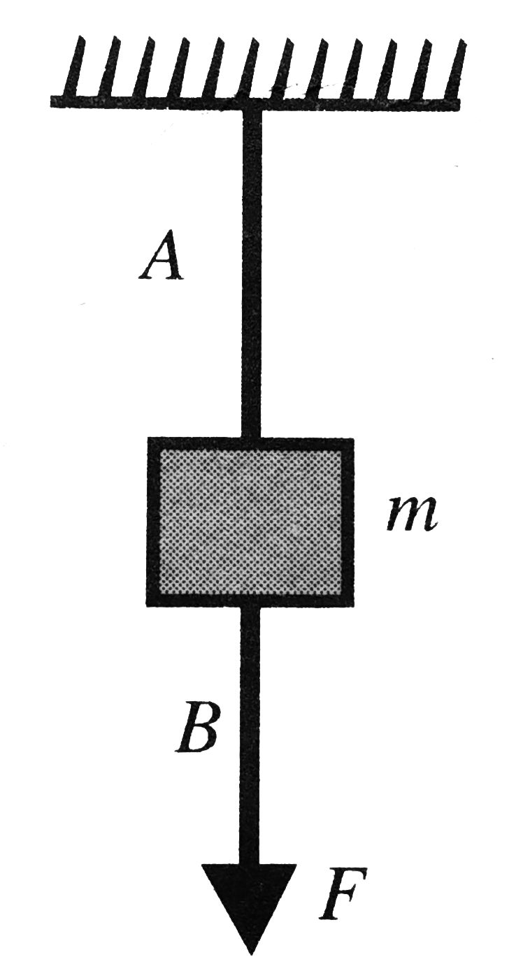 The wires A and B shown in Fig. are made of the same material and have radii r(A) and r(B), respectively. The block between them has a mass m. When the force F is mg//3, one of the wires breaks. Then