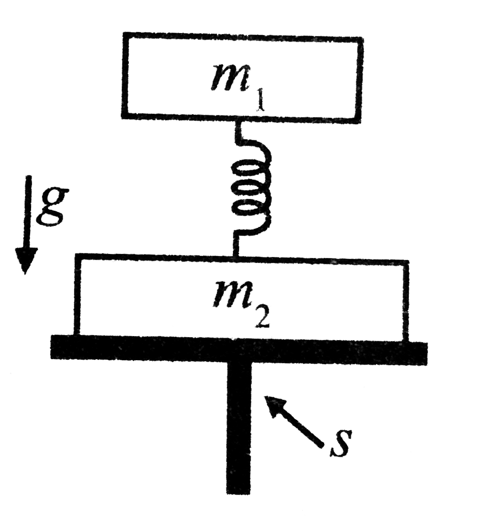 The system of two weights with masses m(1) and m(2) is connected withh a weightless spring as shown. The system is resting on support S. The support S is quickly removed. The acceleration of each of the weights right after the support S is removed is (a(1) is acceleration of m(1) and a(2) that of m(2))