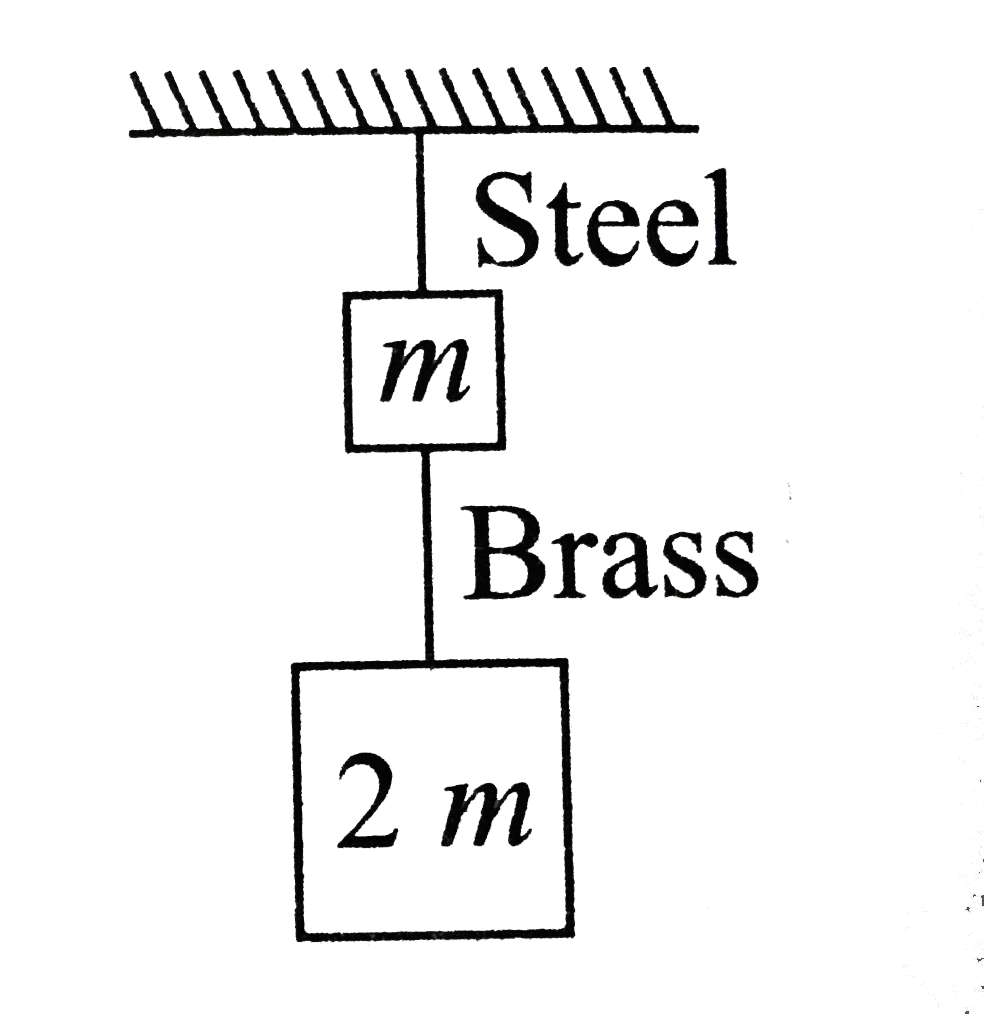 If the ratio of lengths, radii and Young's moduli of steel and brass wires in the figure are a, b and c respectively then the corresponding ratio of increase in their lengths is