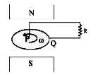 एक चकती चुम्बकीय ध्रवों के बीच दिखाए गए दिशा में घूर्णन कर रही है। चकती के अक्ष तथा किनारे से क्रमशः ब्रश P तथा Q सम्पर्क में है। R से कितनी धारा बहेगी? यदि बहती है।