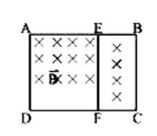 एक समान धातु तार से बना एक आयतकार फ्रेम ABCD चित्र में दर्शाए अनुसार समान तार से बने E व F के मध्य एक सीधा संयोजन रखे हुए है। वर्ग AEFD की भुजाएँ 1 m की है तथा EB = FC = 0.5 m है। सम्पूर्ण परिपथ इस क्षेत्र के अधिलम्बवत् व कागज के तल में अन्दर की ओर निर्देशित एक चुम्बकीय क्षेत्र में रखा है। जो एक नियत दर से बढ़ रहा है। चुम्बकीय क्षेत्र के परिवर्तन की दर 1 T/5 है, तार की प्रति एकांक लम्बाई प्रतिरोध 1Omega//m  है। AE, BE व EF भागों में धारा ज्ञात कीजिये।