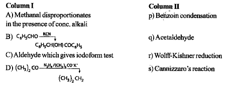 Match the following columns