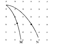 ocr_image