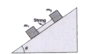 Two blocks of masses m1 and m2 (m2 < m1) are placed on an inclined plane of inclination theta and joined string as shown in figure   If the coefficient of friction between the blocks and the plane is mu and the blocks are released