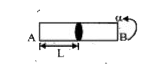 A long horzintal rod has a bead can slide along its length and initially placed at a distance at a distance L from one end A of the rod. The rod is set in angular acceleration alpha. If the coefficent of friction between the rod and the bead is mu, and gravity is neglected, then the time after the time which the bead starts slipping is