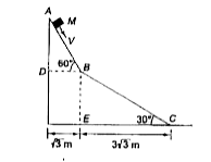 A small block of mass M moves on a frictionless surface of an inclined plane, as shown in fig. The angle of the incline suddenly change from 60^@ to 30^@ at point B. The block is initially at rest at A. Assume that collisions between the block and the incline are totally inelastic (g=10m//s^2)      If collision between the block and the incline is completely elastic, then the vertical (upward) component of the velocity of the block at point B, immediately after it strikes the second incline is