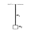 One end of a uniform rod of mass m(1) , and cross-sectional area A is hung from a ceiling. The other end of the bar is supporting mass m(2)  The stress at the midpoint is