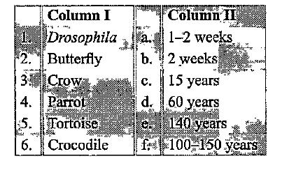 Match the columns I and II, and choose the correct com  bination from the options given.