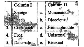 Match the columns I and II, and choose the correct     combination from the options given.