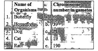 Match the columns I and II, and choose the correct combination from the options given.