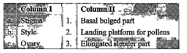 Match the columns I and II, and choose the correct combination from the options given.