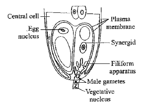 ocr_image