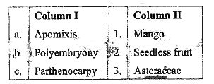 Match the columns I and II, and choose the correct combination from the options given.