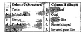 Match the columns I and II, and choose the correct combination from the options given.