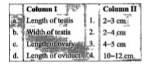 Match the columns I and II, and choose the correct combination from the options given.