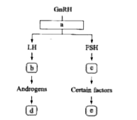 Recognise the figure and find out the correct matching.