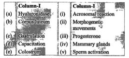 Match the columns: