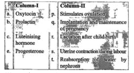 Match the columns: