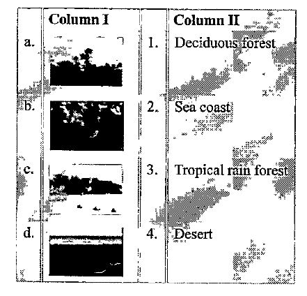 The following figure shows the major biomes of India Identify them and