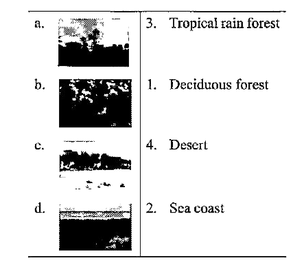 The following figure shows the major biomes of India Identify them and