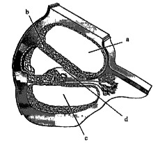ocr_image