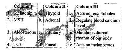 Match the columns