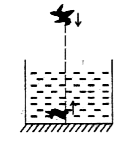 A bird in air is diving vertically over a tank with speed 6 cm/s. The base of the tank is silvered. The fish in the tank is rising upward along the same line with speed 4 cm/s. [Take : mu(