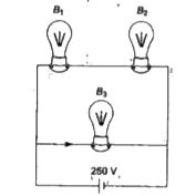 A bulb B(1)=100W and two bulbs B(2)=B(3)=60W are connected to a 250 V supply. W(1),W(2)andW(3) are the output powers of the bulbs B(1),B(2)andB(3) respectively then