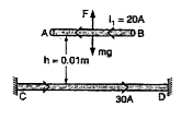 A long horizontal wire AB which is free to move in a vertical plane and carries a steady current of 20 A, is in equilibrium at a height of 0.01 m over another parallel long wire CD, which is fixed in a horizontal plane and carries a stready current of 30 A as shown in figure. Show that when AB is slightly depressed and relesased it executes simple harmonic motion. Find the period of oscillations