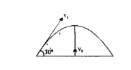 A body is projected, with velocity v(t) at an angle of 30^(@) with the horizontal. Another body is projected vertically upwards with velocity v(2) from a point on horizontal line, vertically below the highest point. If the two bodies collide at highest point then (v(2))/(v(1)) should be