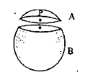 A spherical shell is cut into pieces A and B. P  is a point along a chord on piece A and O is a point along a chord on piece B, then relation between gravitational fields are
