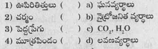 సరైన జతను గుర్తించండి