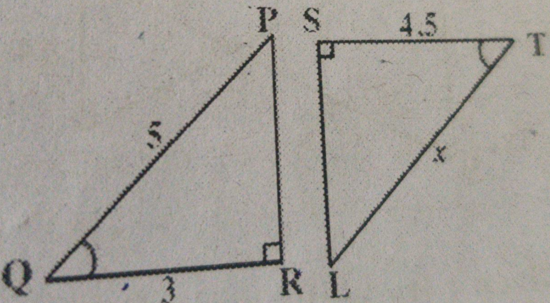 Explain why the triangle are similar and then find the value of x.