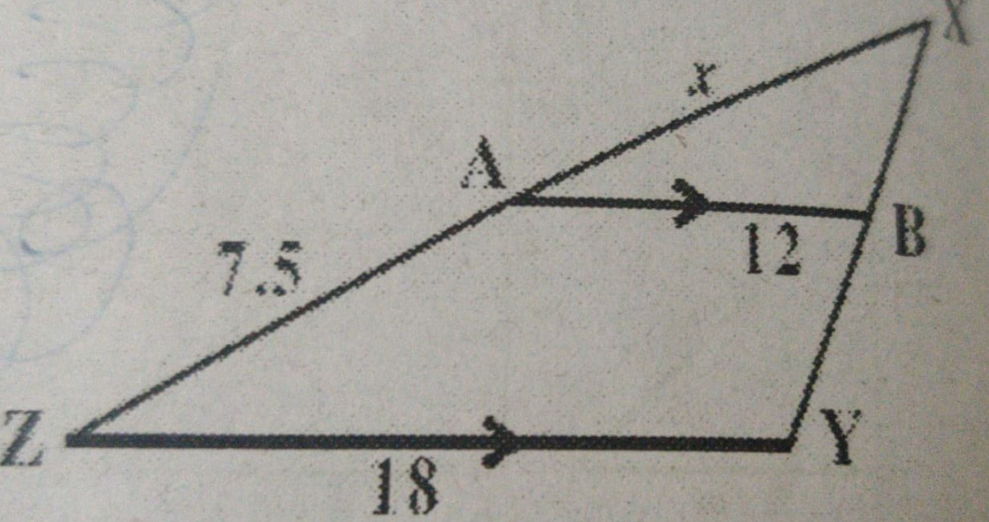 Explain why the triangle are similar and then find the value of x.