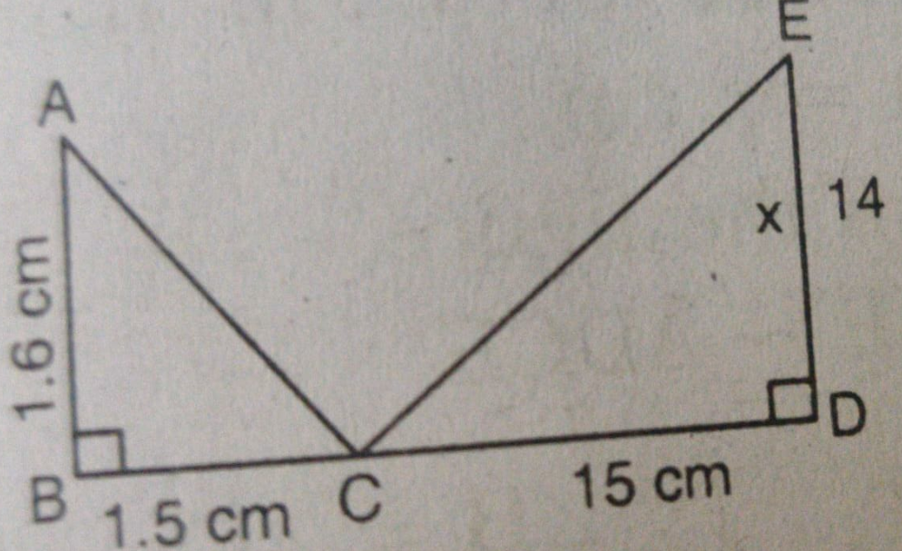 Explain why the triangle are similar and then find the value of x.