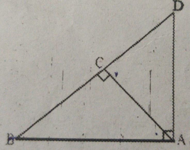 ABD is  a Triangle right angle at A and AC bot BD.   Show that (i) AB^2=BC.BD   (ii) AD^2=BD.CD   (iii) AC^2=BC.DC
