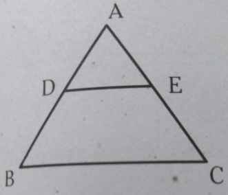 In the given figure BC||DE and AD=DB=3.4 and AC=14.      So, find AE and EC.