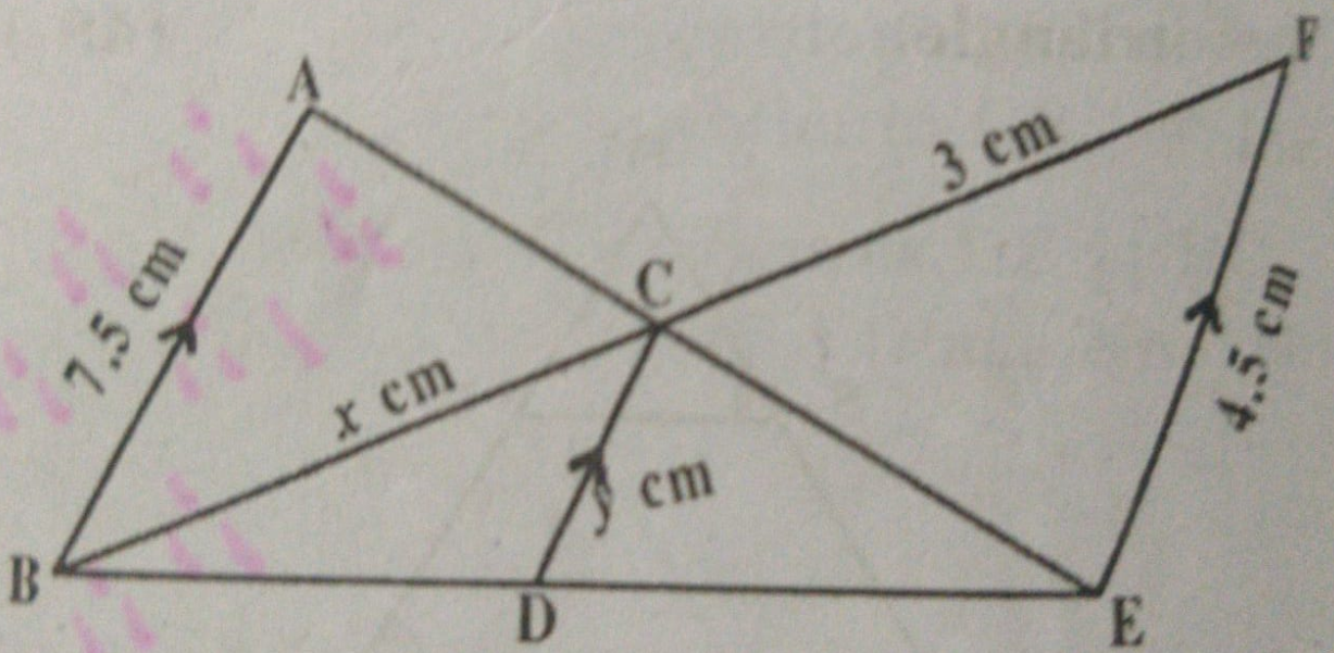 In the given figure, AB||CD||EF given AB=7.5 cm, DC= y cm , EF=4.5 cm, BC = x cm. Calculate the values of x and y.