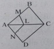 In the figure, LM////CB and LN////CD then (AM)/(AB)=………