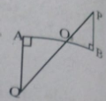 In the figure, QAbotAB and PBbotAB if AO=20cm, BO=12cm, PB=18cm then AQ=……..cm.