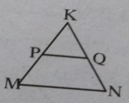 In the figure ,PQ//MN,(KP)/(PM)=4/13 and KN=20.4 cm then KQ= ……………….cm.