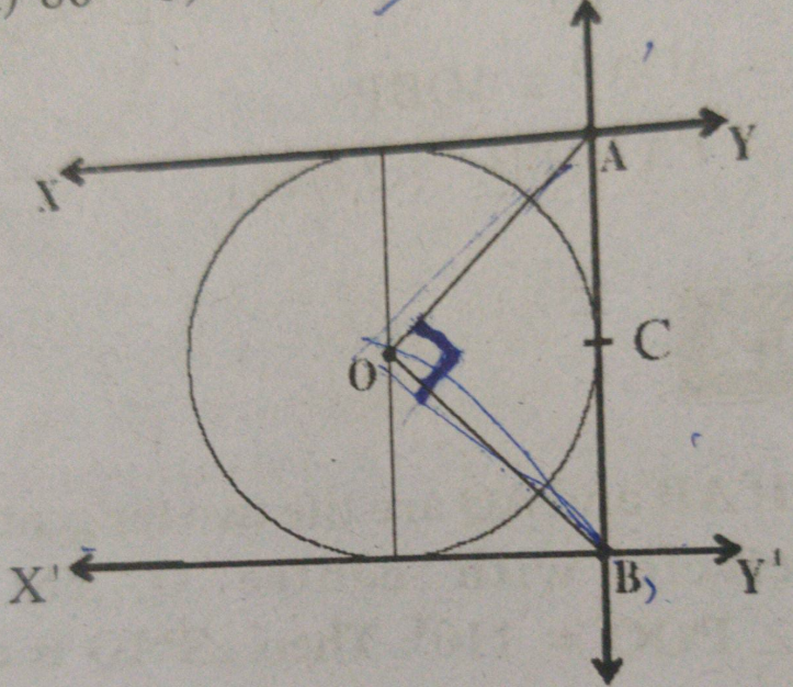 In the figure XY and X'Y' are two parallel tangents to a circle with   centre O and another tangent AB with point of cantact C intersecting XY at A and X'Y' at B then  angle AOB=