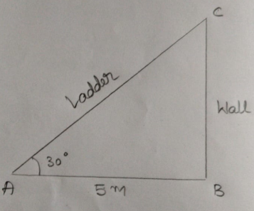 Observe the figure. Length of the ladder =…………