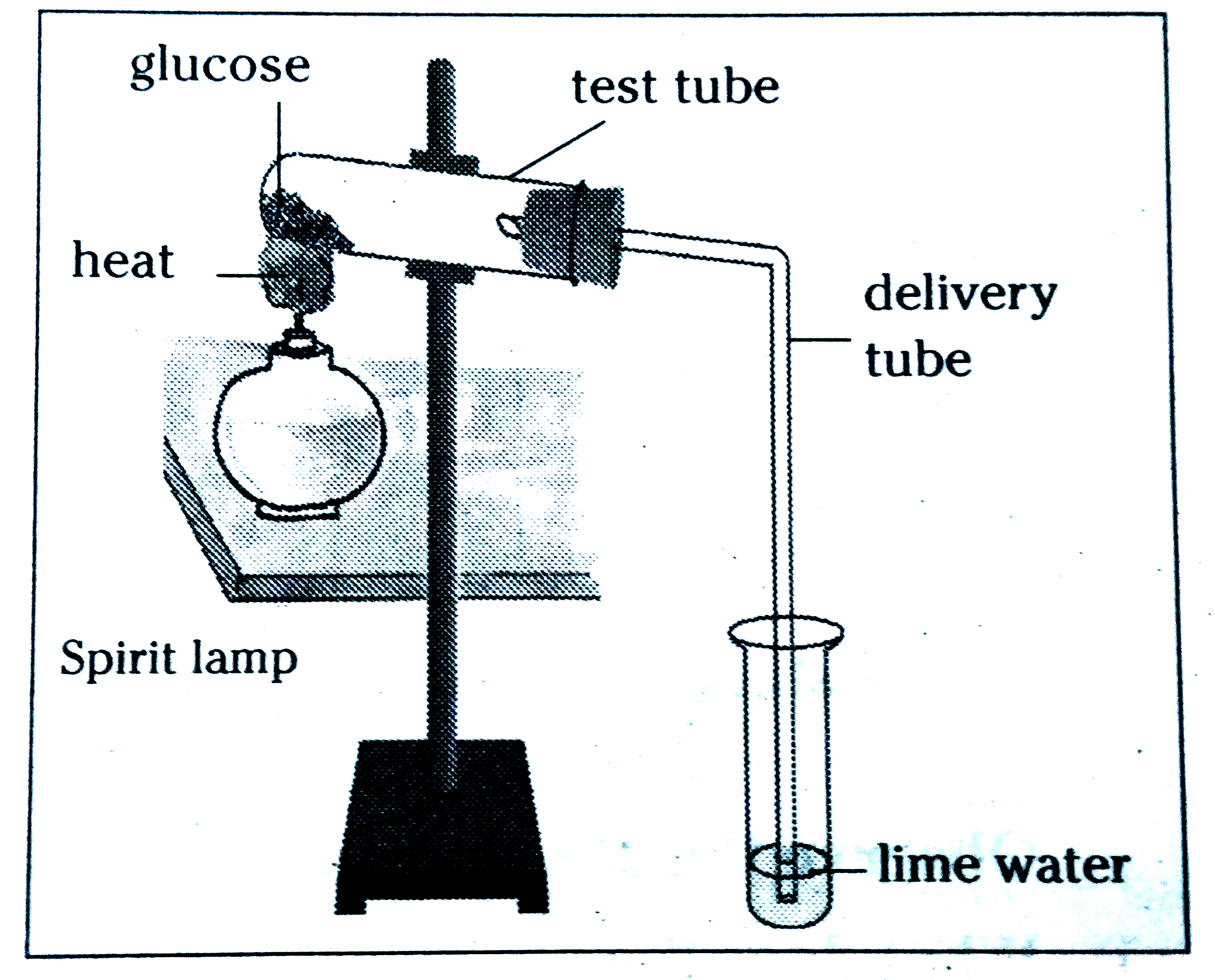 Observe the set of apparatus and answer the following question.      Which process do we know with the help of this experiment ?