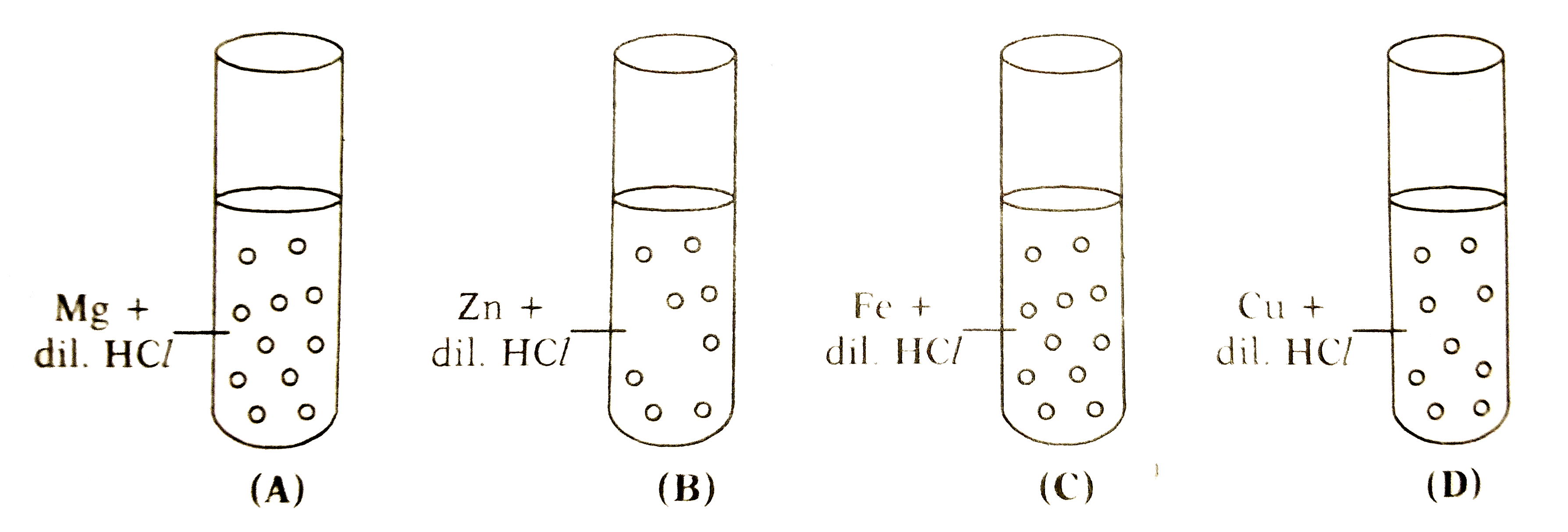 In  the below mentioned diagram four test-tubes A, B, C and D contains dil . HCl. Defferent metal granules are put inside the dil.HCI. In which test-tube the reaction is more vigorous at room temperature ?