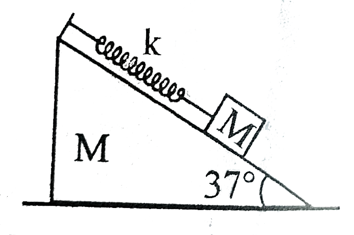 The system of the wedge and the block connected by a massless spring as shown in the figure is released with the spring in its natural length. Friction is absent. Maximum elongation in the spring will be