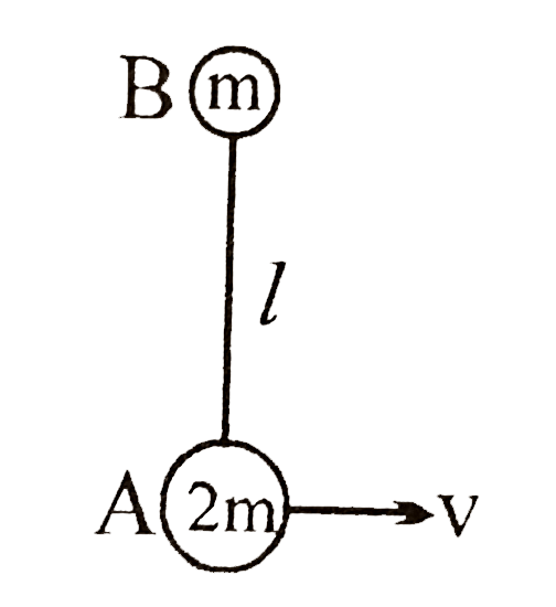 Two masses A and B connected with an inextensible string of length l lie on a smooth horizontal plane. A is given  a velocity of vm//s along the ground perpendicular to line AB as shown in figure. Find the tension in string during their subsequent motion
