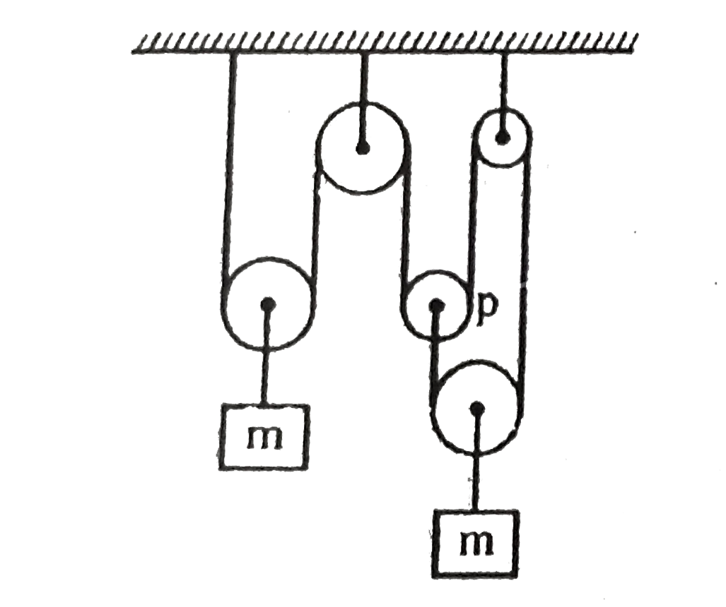 All pulleys are massless The string is light and inextensible Find acceleration of centre of pulley 'p' in m//s^(2)